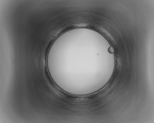 X0000112950541200908241029