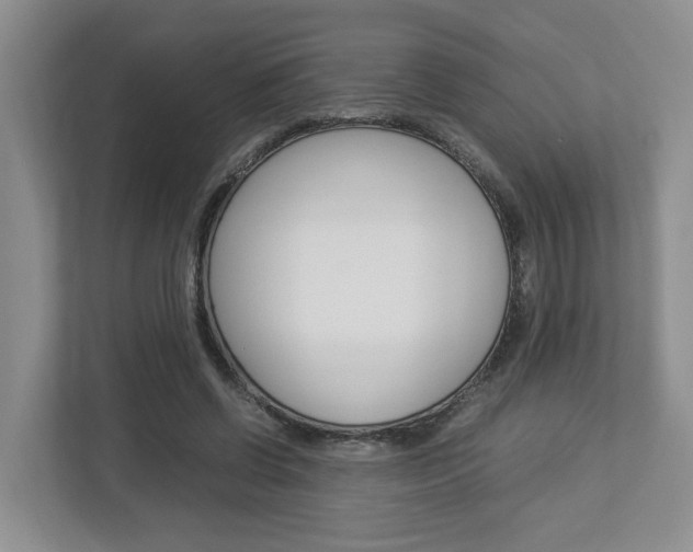 X0000112950542200908241029
