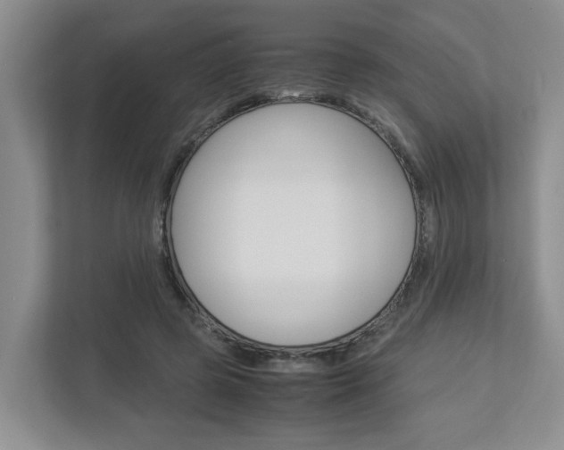 X0000112950545200908241029