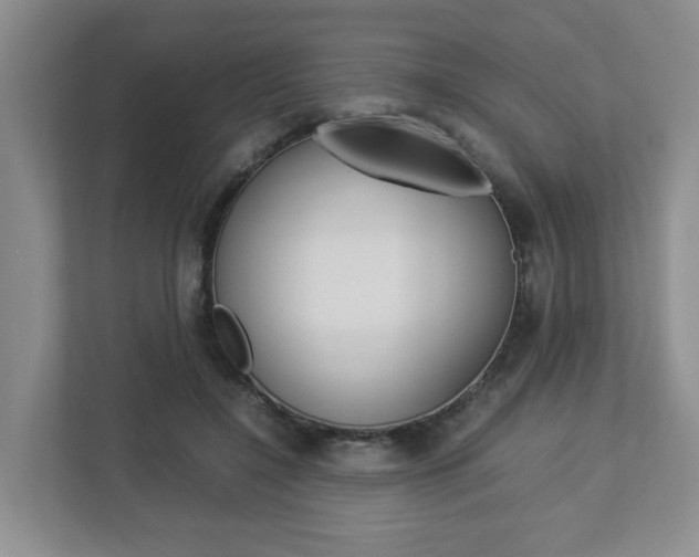 X0000112950548200908241029