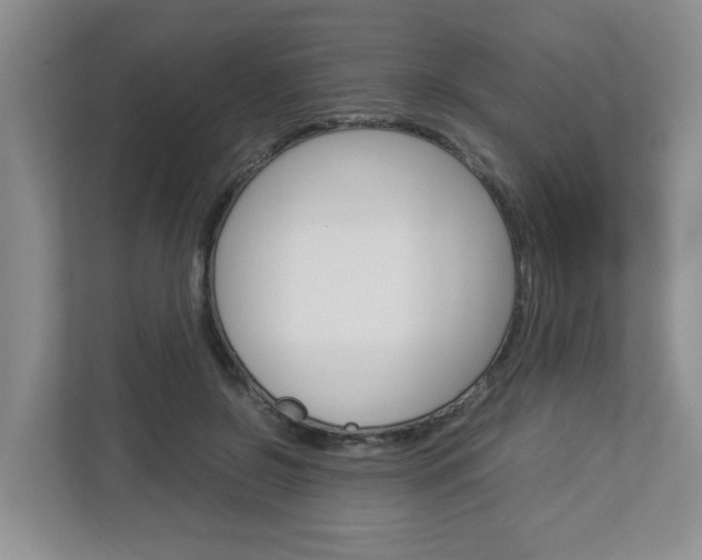 X0000112950550200908241029