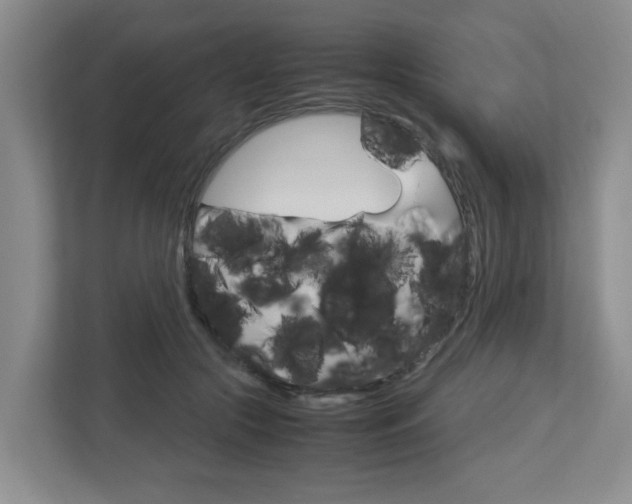 X0000112950553200908241029