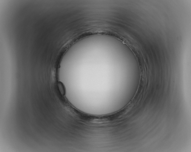 X0000112950556200908241029