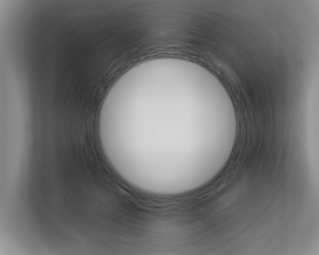 X0000112950558200908241029