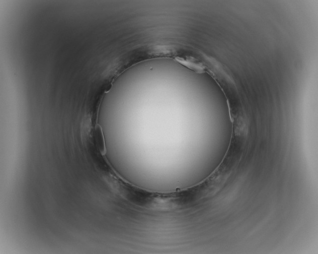 X0000112950560200908241029
