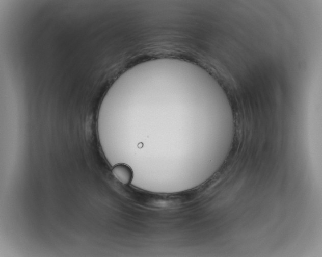 X0000112950563200908241029