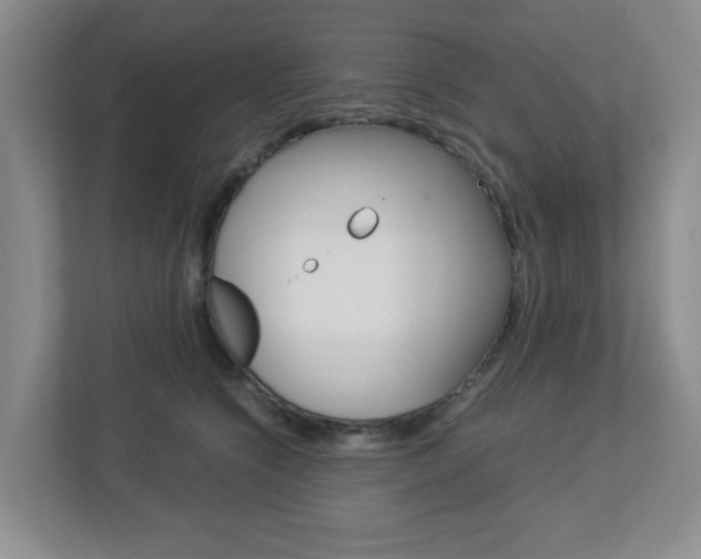 X0000112950564200908241029