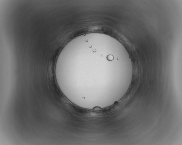 X0000112950565200908241029
