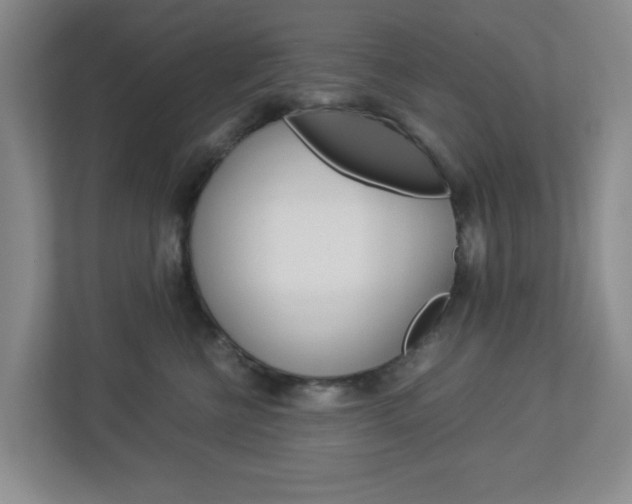X0000112950570200908241029