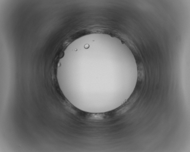 X0000112950573200908241029