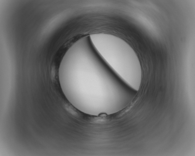 X0000112950574200908241029