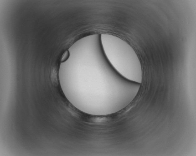 X0000112950575200908241029