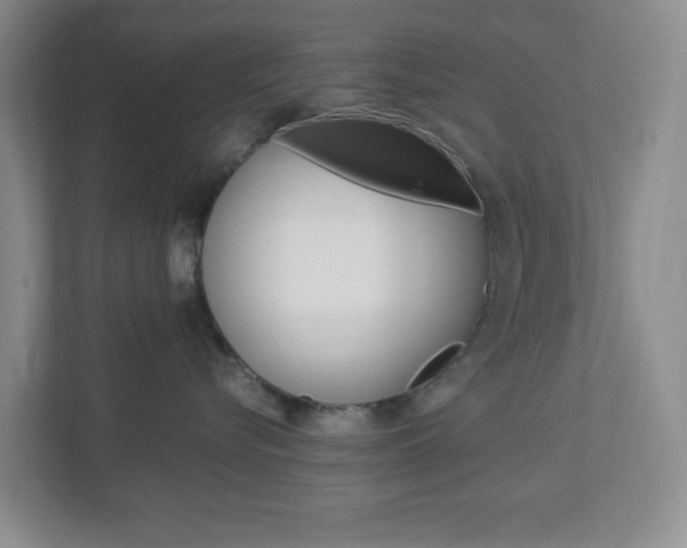 X0000112950576200908241029