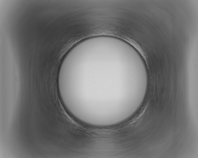 X0000112950577200908241029