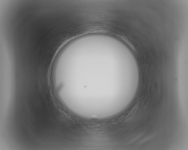 X0000112950579200908241029