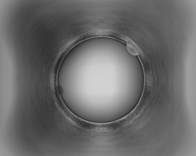 X0000112950581200908241029