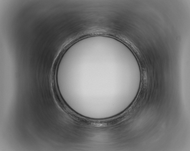 X0000112950582200908241029