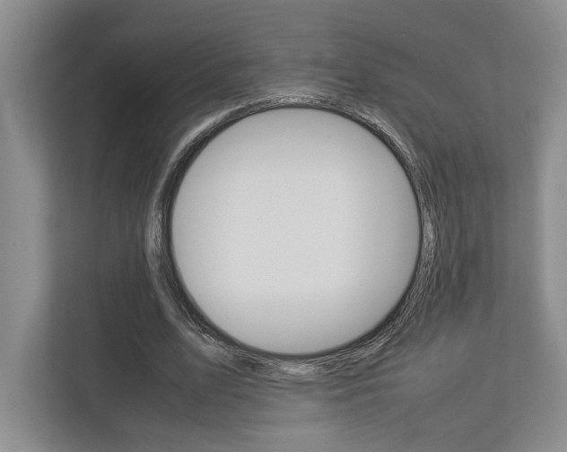 X0000112950583200908241029