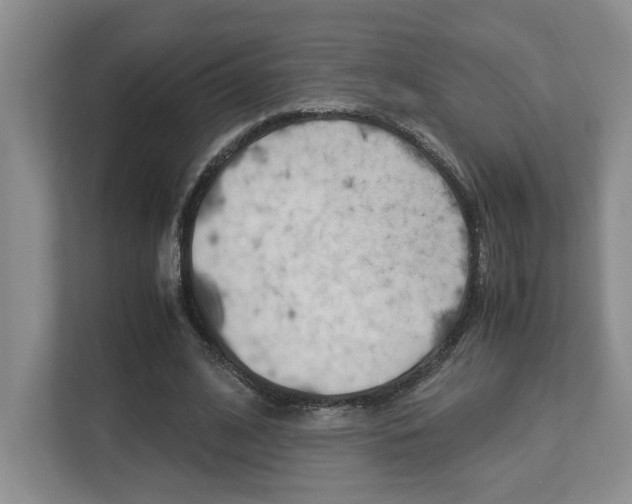 X0000112950584200908241029