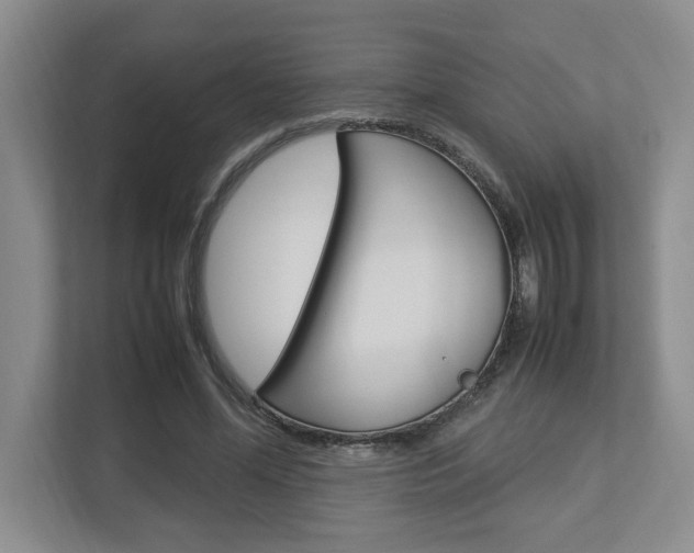 X0000112950588200908241029