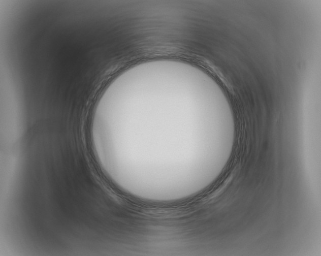 X0000112950589200908241029