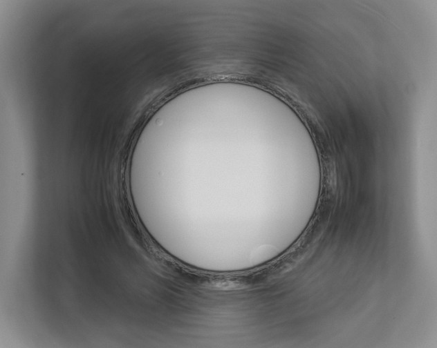 X0000112950590200908241029
