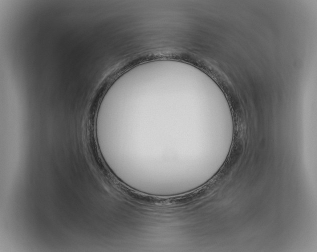 X0000112950591200908241029