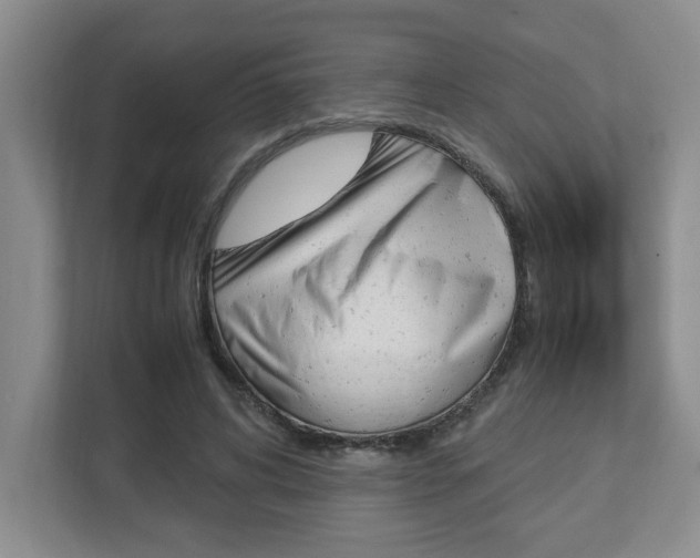 X0000112950592200908241029