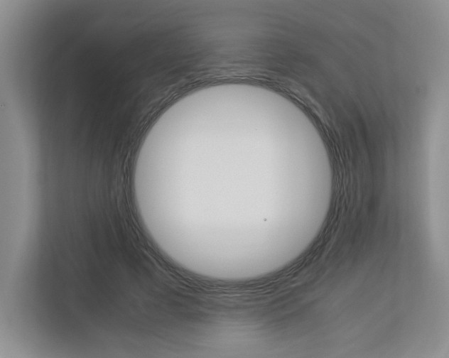 X0000112950593200908241029