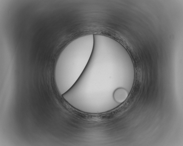 X0000112950594200908241029