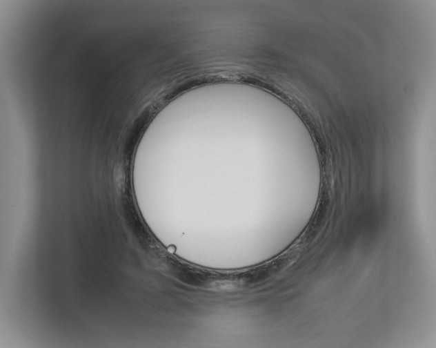X0000112950595200908241029