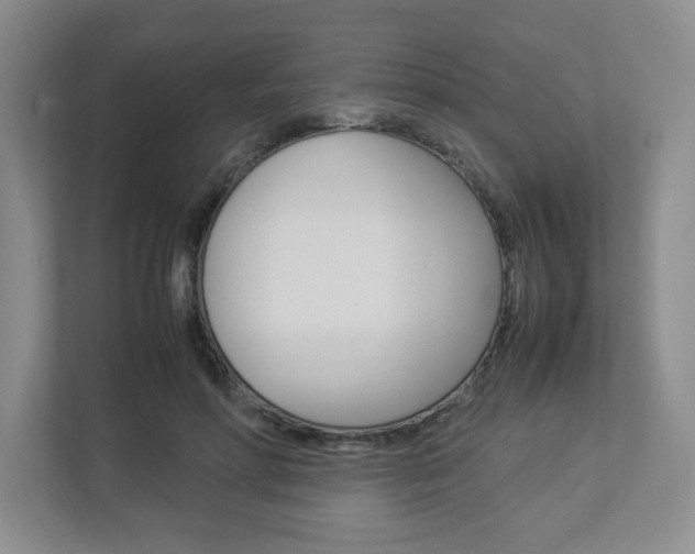 X0000112950598200908241029