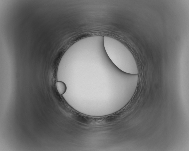 X0000112950599200908241028