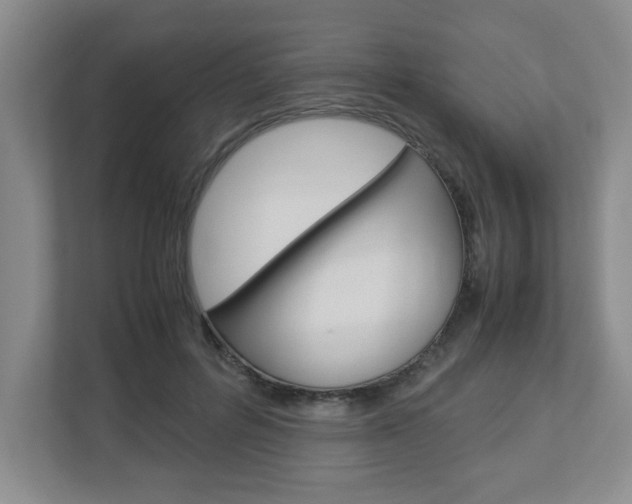X0000112950600200908241028