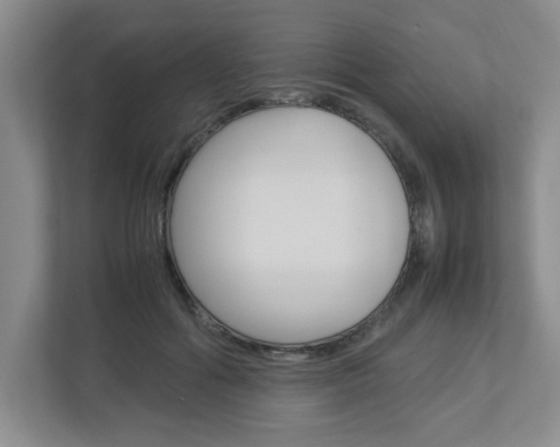 X0000112950602200908241028
