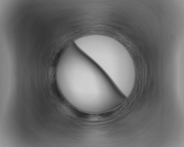 X0000112950605200908241028