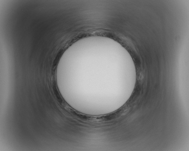 X0000112950607200908241028