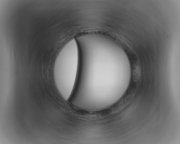 X0000112950608200908241028
