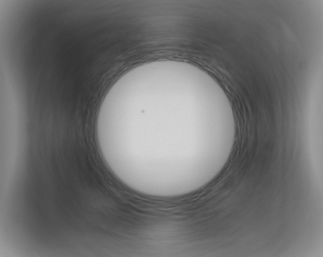 X0000112950611200908241028
