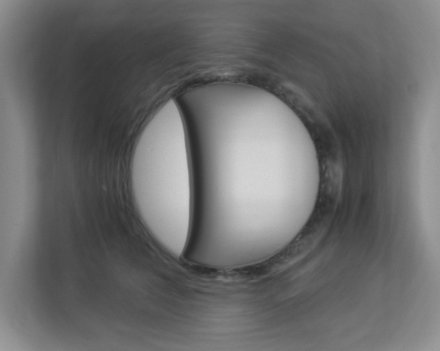 X0000112950612200908241028