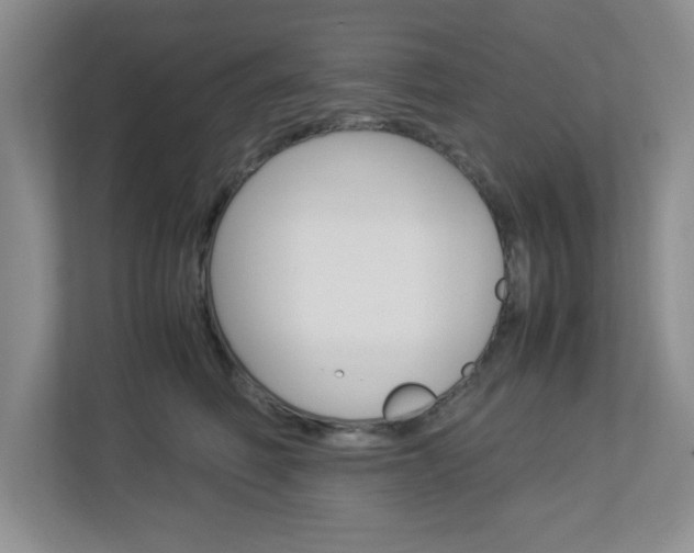 X0000112950614200908241028