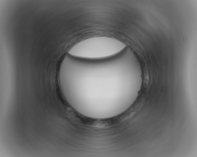 X0000112950616200908241028