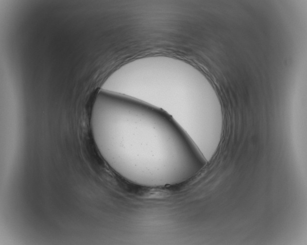 X0000112950617200908241028