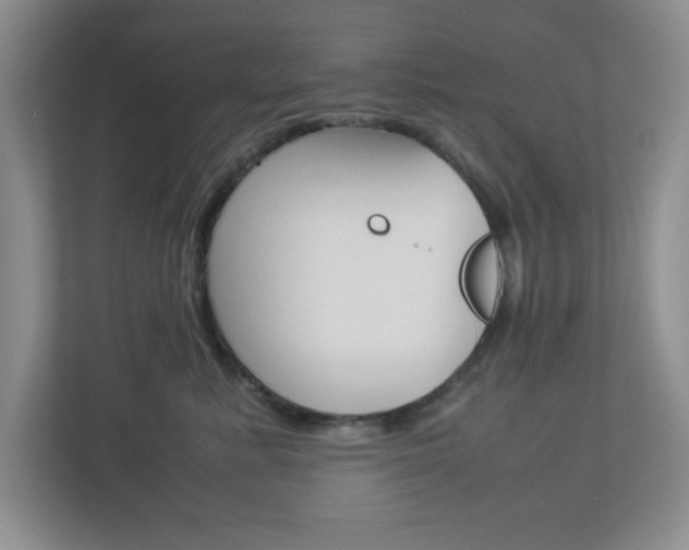 X0000112950619200908241028