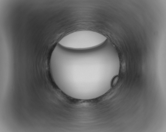 X0000112950620200908241028