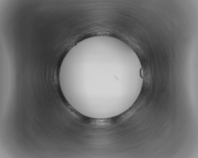 X0000112950622200908241028