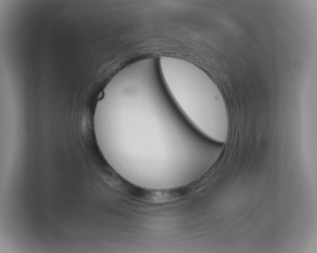 X0000112950623200908241028