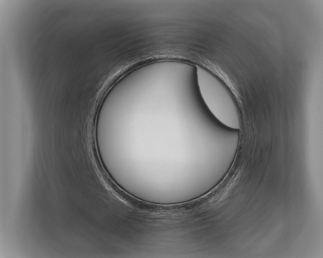 X0000112950625200908241028