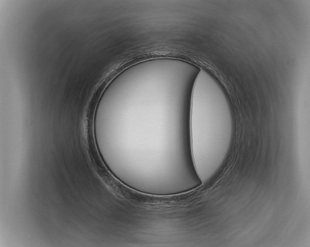 X0000112950626200908241028