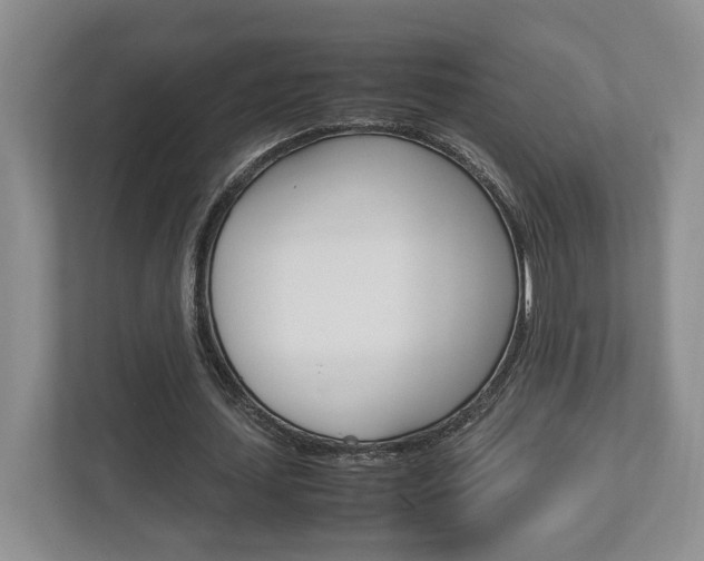X0000112950627200908241028